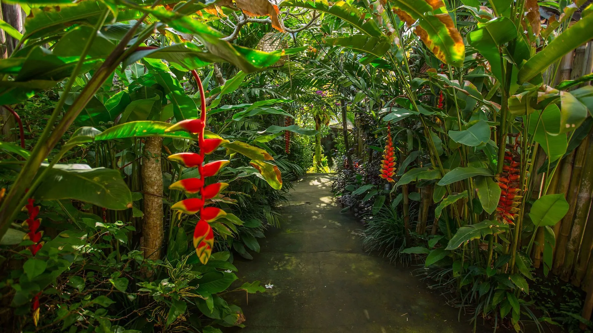 D'Bale Ananda Ubud Villa Indonesia
